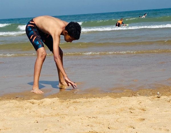 young curious boy touching jellyfish on beach 