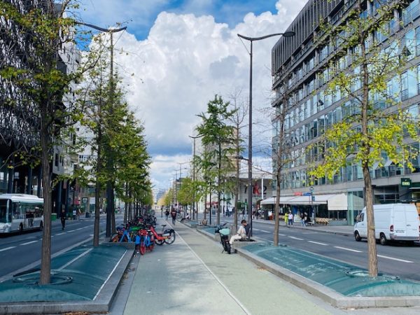 Consulting on what and how to plant in city streets 2026-8 Paris