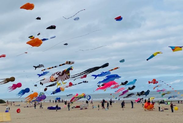 Many Kites flying on a beach festival 2026-9